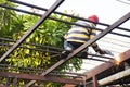 Thai workers people working made and build and manual welding structure of awning roof at front of house at construction site on Royalty Free Stock Photo