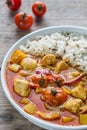 Thai yellow curry with chicken and rice Royalty Free Stock Photo