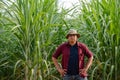 Thai young grower sugarcane portrait in the plantation