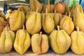 Thailan Exotic tropical fruits Durian on the street Bangkok