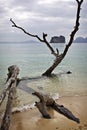 Thailand: Andaman Sea in Krabi