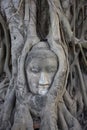 THAILAND, Ayutthaya, Buddha statue