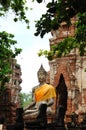 Thailand Ayutthaya wat Phra Mahathat