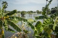 THAILAND AYUTTHAYA WATER FLOODING