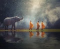 Thailand Buddhist monks walk collecting alms