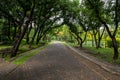 Thailand, Built Structure, Cement, Garden, Abstract Royalty Free Stock Photo