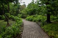 Thailand, Built Structure, Cement, Garden, Abstract Royalty Free Stock Photo