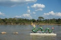 THAILAND CHIANG KHONG MEKONG NAGA DRAGON