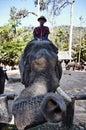 Thailand, Chiang Mai, asian elephant