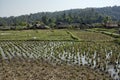 Thailand, Chiang Mai, Karen Long Neck village