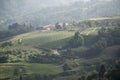 THAILAND CHIANG RAI MAE SALONG TEA PLANTATION Royalty Free Stock Photo