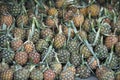 THAILAND CHIANG RAI MARKET FRUITS PINEAPLE Royalty Free Stock Photo