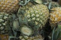 THAILAND CHIANG RAI MARKET FRUITS PINEAPLE Royalty Free Stock Photo