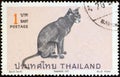 THAILAND - CIRCA 1970: A stamp printed in Thailand from the `Siamese cats` issue shows Blue point Siamese cat, circa 1970.