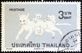 THAILAND - CIRCA 1970: A stamp printed in Thailand from the `Siamese cats` issue shows Pure white Siamese cats, circa 1970.