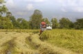 Thailand Combine harvesters working rice field