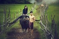 Thailand Couple farmer and buffalo in rice field