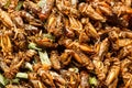 Thailand fried insects placed on the market Royalty Free Stock Photo