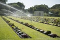 THAILAND KANCHANABURI ALLIED WAR CEMETERY