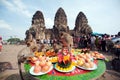 Thailand Monkey Party ( Thailand Monkey Buffet ). Royalty Free Stock Photo