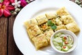 Thailand muslim food Martabak or murtabak, arabian stuffed bread Royalty Free Stock Photo