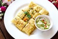 Thailand muslim food Martabak or murtabak, arabian stuffed bread