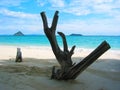 Thailand - Paradise Beach VI Royalty Free Stock Photo