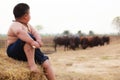 Thailand Rural Traditional Scene, Thai farmer shepherd boy sitting, tending buffaloes herd in the farm. Thai Upcountry Culture