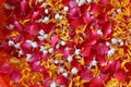 Thailand Songkarn Festival colorful with rose jasmine and marigold petal in the water background