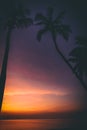 Thailand sunrise Palm tree silhouette