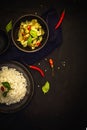 Thailand traditional cuisine, Green curry, Chicken curry, rice, street food, spicy curry Royalty Free Stock Photo