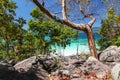 Thailand travel island Koh Lipe turquoise sea color with swing at tree cliff mountain viewpoint and sunny clear blue sky backgroun