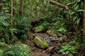 Thailand, Waterfall, Landscape - Scenery, Nature, Forest Royalty Free Stock Photo