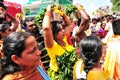 Thaipusam