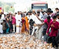 Thaipusam festival