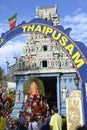 Thaipusam is a Hindu festival where devotees come together for a procession, carrying signs of their devotion and gratitude Royalty Free Stock Photo