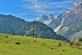 Thajiwas Glacier In Sonmarg Valley Kashmir Royalty Free Stock Photo