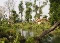 Thakurdwara village, Bardia, Terai, Nepal Royalty Free Stock Photo