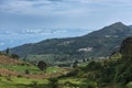 Thalaikundha valley in Nilgiri Hills, India.