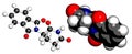 Thalidomide teratogenic drug molecule. Cartoon representations, atoms are shown as conventionally colored spheres