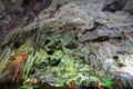 THAM KHAO BIN CAVE, Stalactites and Stalacmites Royalty Free Stock Photo