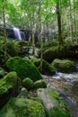 Tham yai waterfall, beautiful waterfall in a forest filled with green trees at Phu Kradung National Park in the rainy season, Royalty Free Stock Photo