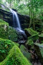 Beautiful waterfall in a forest filled with green trees at Phu Kradung National Park Royalty Free Stock Photo