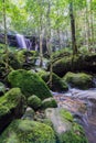 Beautiful waterfall in a forest filled with green trees at Phu Kradung National Park Royalty Free Stock Photo