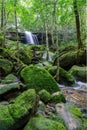 Beautiful waterfall in a forest filled with green trees at Phu Kradung National Park