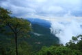 Thamarassery Churam-Wayanad