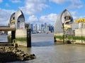 Thames Barrier and Canary Wharf