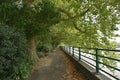 Thames Path London