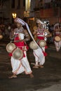 Thammattam Players perform during the Esala Perahera.