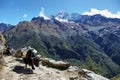 Thamserku mountain views and yaks walking